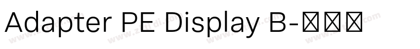 Adapter PE Display B字体转换